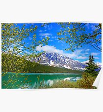 Jasper National Park, Alberta Poster