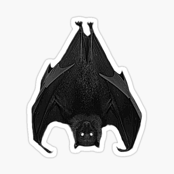 "Bat Eyes Glowing in the Dark Dark Mysterious Modern Gothic Style Graphic " Sticker by