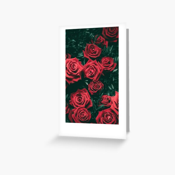 Roses Video Greeting Cards Redbubble - spiked rose crown roblox