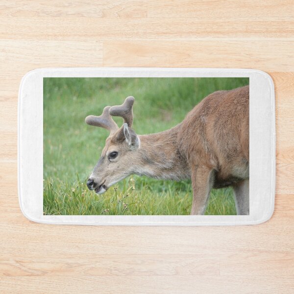Item preview, Black-tailed deer designed and sold by SDym Photography.