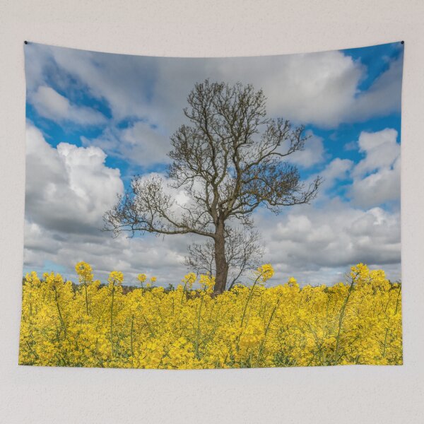 Item preview, Lone Tree In A Rapeseed Field designed and sold by AJEvans.