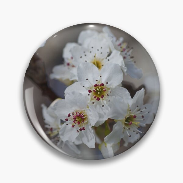 Item preview, Lush White Blossom designed and sold by Joy Watson - Natural Light Photography .