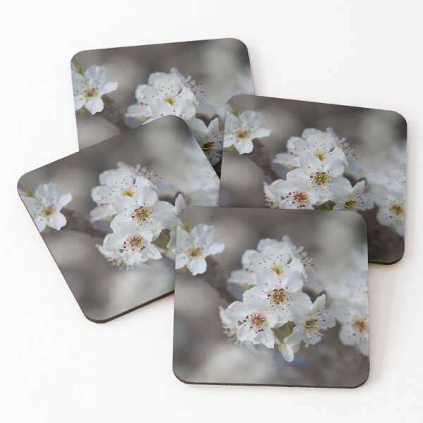 Item preview, Lush White Blossom designed and sold by Joy Watson - Natural Light Photography .