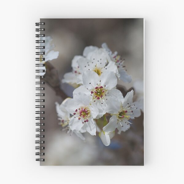 Item preview, Lush White Blossom designed and sold by Joy Watson - Natural Light Photography .
