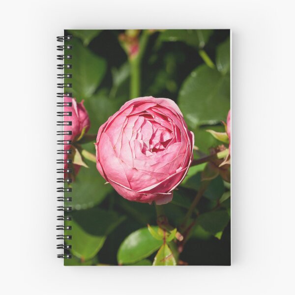 Item preview, Trio of roses 15 designed and sold by Jouko Lehto Photography.