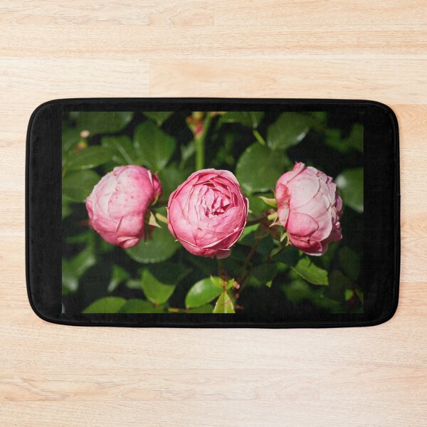 Item preview, Trio of roses 15 designed and sold by Jouko Lehto Photography.