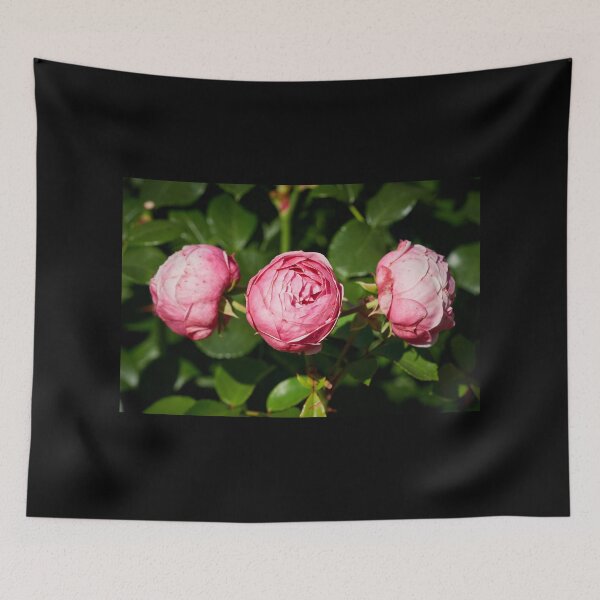 Item preview, Trio of roses 15 designed and sold by Jouko Lehto Photography.