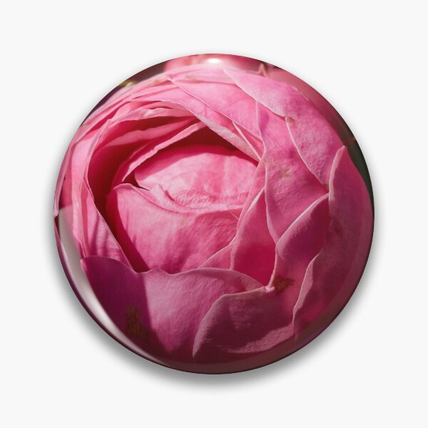 Item preview, The balls of strawberry Ice cream roses 17 designed and sold by Jouko Lehto Photography.