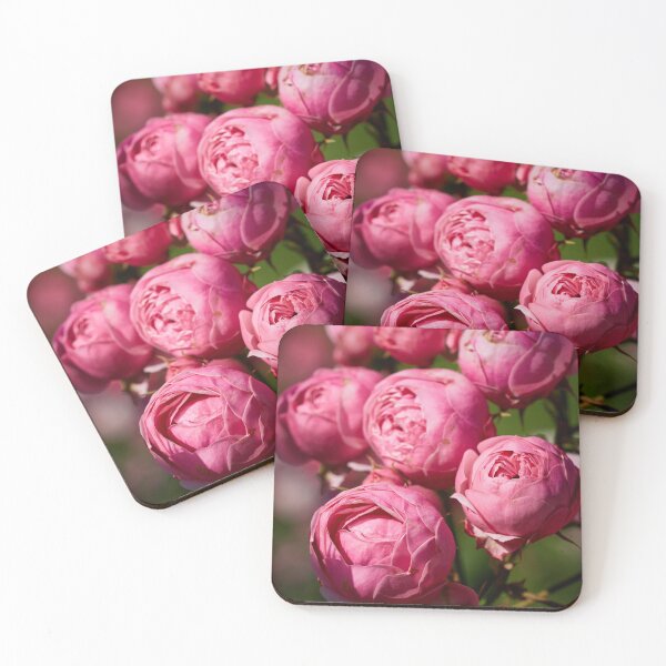 Item preview, The balls of strawberry Ice cream roses 17 designed and sold by Jouko Lehto Photography.