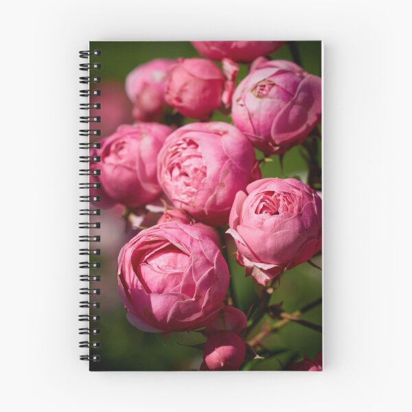 Item preview, The balls of strawberry Ice cream roses 17 designed and sold by Jouko Lehto Photography.