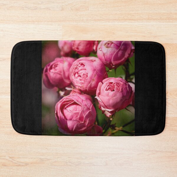 Item preview, The balls of strawberry Ice cream roses 17 designed and sold by Jouko Lehto Photography.