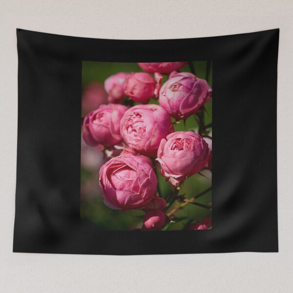 Item preview, The balls of strawberry Ice cream roses 17 designed and sold by Jouko Lehto Photography.