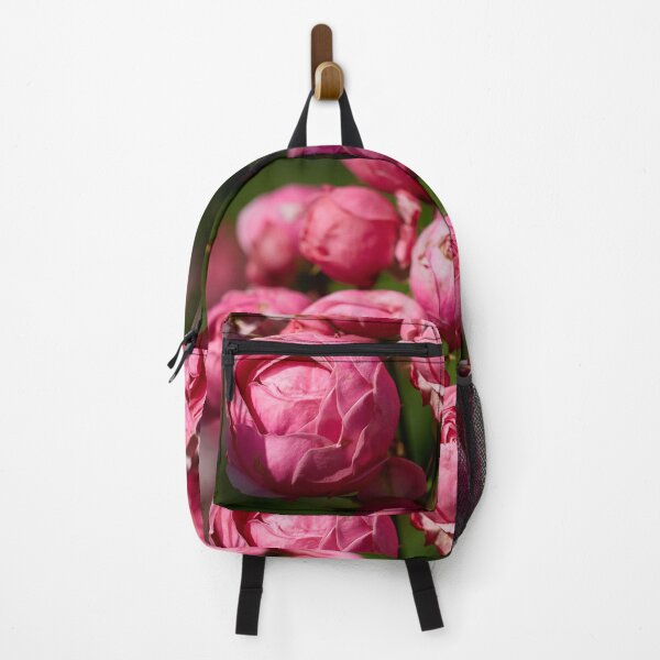 Item preview, The balls of strawberry Ice cream roses 17 designed and sold by Jouko Lehto Photography.