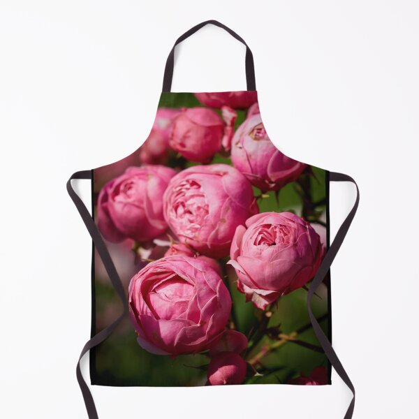 Item preview, The balls of strawberry Ice cream roses 17 designed and sold by Jouko Lehto Photography.
