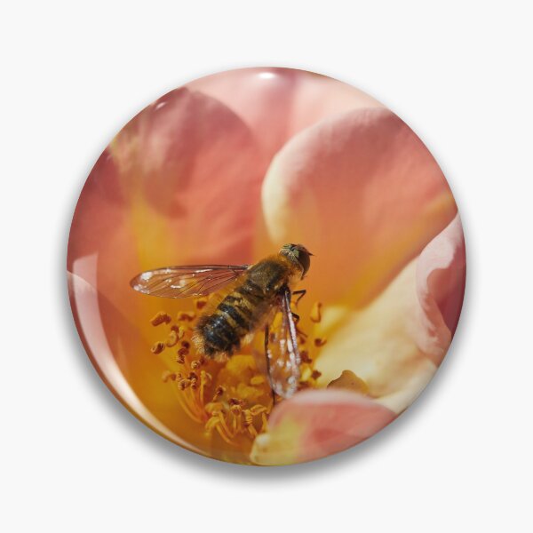 Item preview, The visitor by a rose 27 designed and sold by Jouko Lehto Photography.