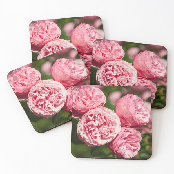 Item preview, Blushed dreams roses 33 designed and sold by Jouko Lehto Photography.