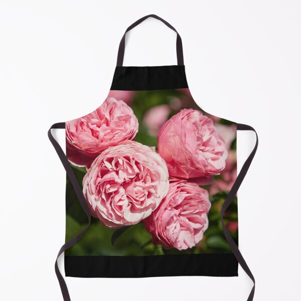 Item preview, Blushed dreams roses 33 designed and sold by Jouko Lehto Photography.