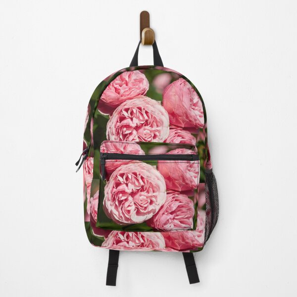 Item preview, Blushed dreams roses 33 designed and sold by Jouko Lehto Photography.