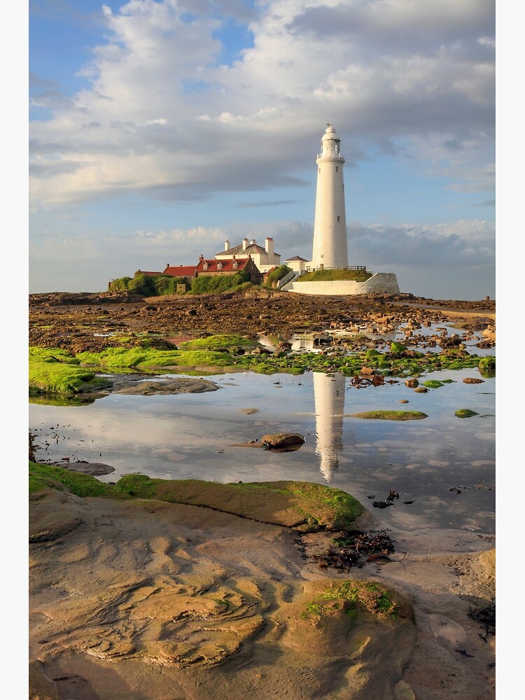 Low tide at St Mary's Lighthouse by bitm2007