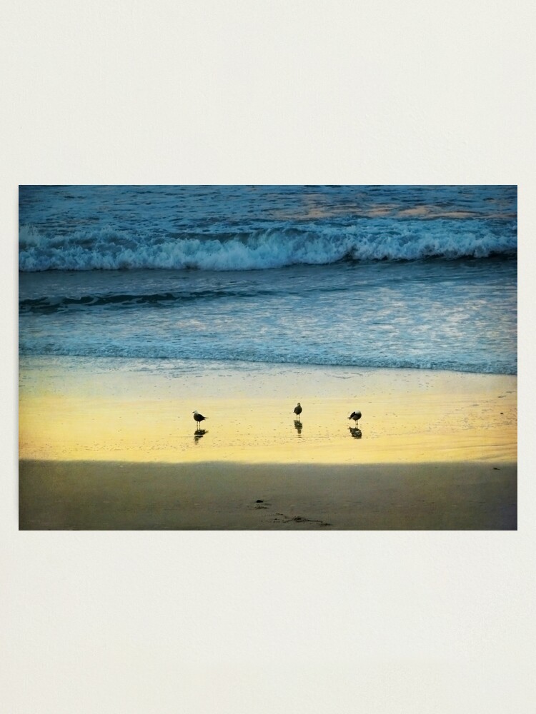 Alternate view of The Early Birds Photographic Print
