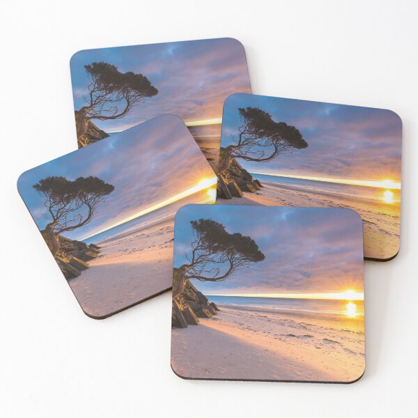 Item preview, Branching Out designed and sold by Alistair Wilson.