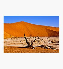 Dead Vlei (Deadvlei) Sossusvlei Namibia Africa lanscape Photographic Print