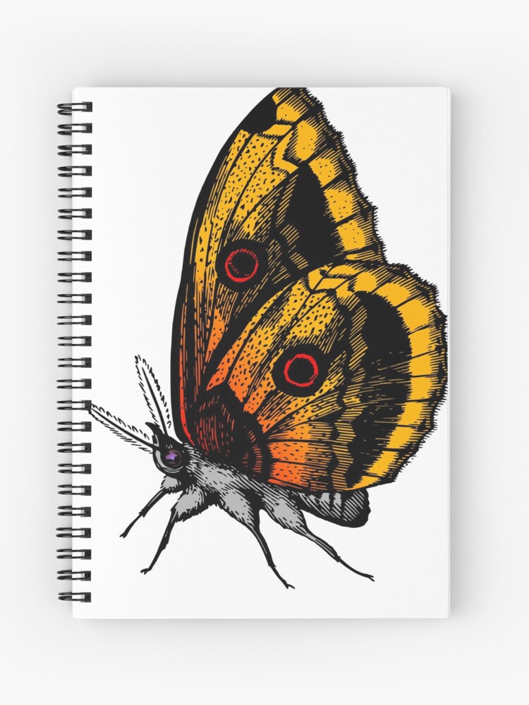 Cahier A Spirale Papillon Monarque Jaune Papillon Oeil De Paon Dessin Par Onetimeengineer Redbubble