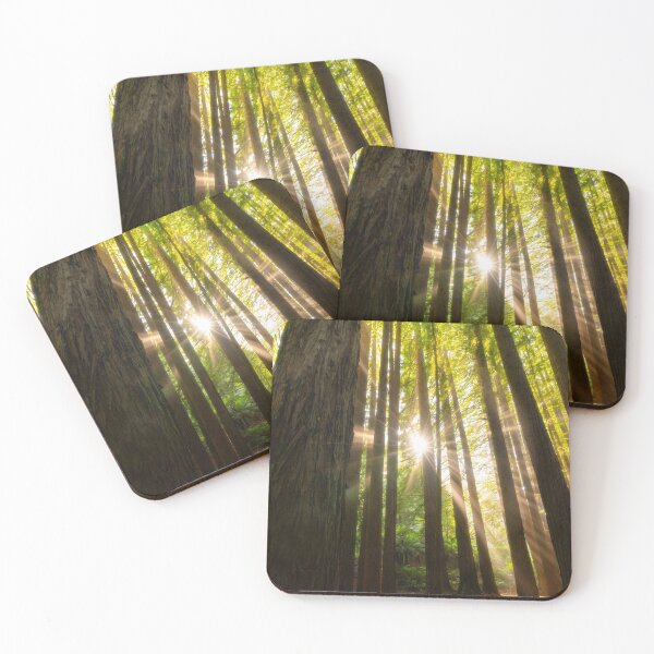 Item preview, Redwoods Morning Rays designed and sold by Alistair Wilson.