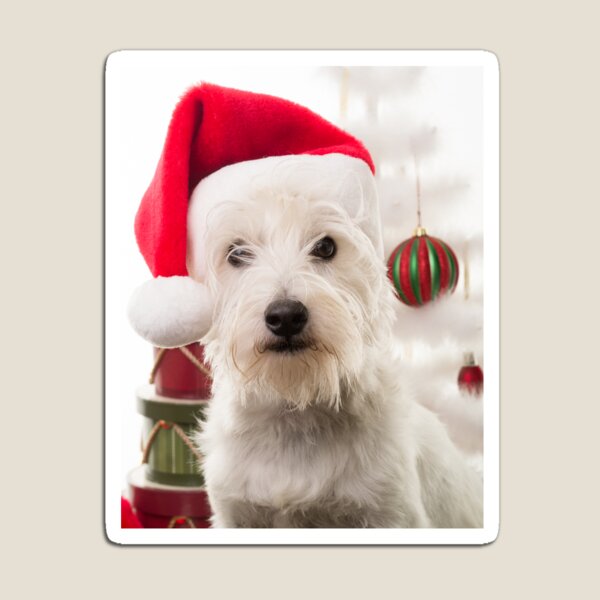 Christmas Dog Magnet