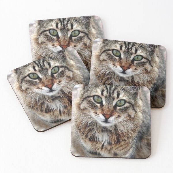 Item preview, “Whiskers” designed and sold by TheLifeInspired.
