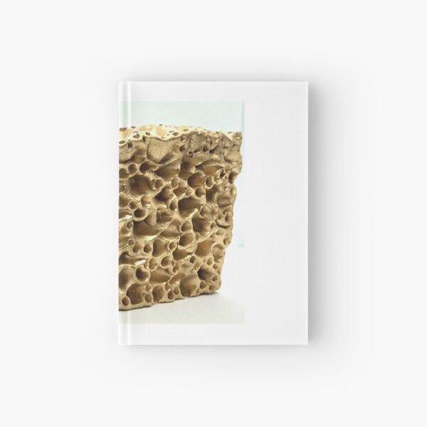 Gold Love Coral Reef Sculpture Inspired by Great Barrier Reef Australia Hardcover Journal