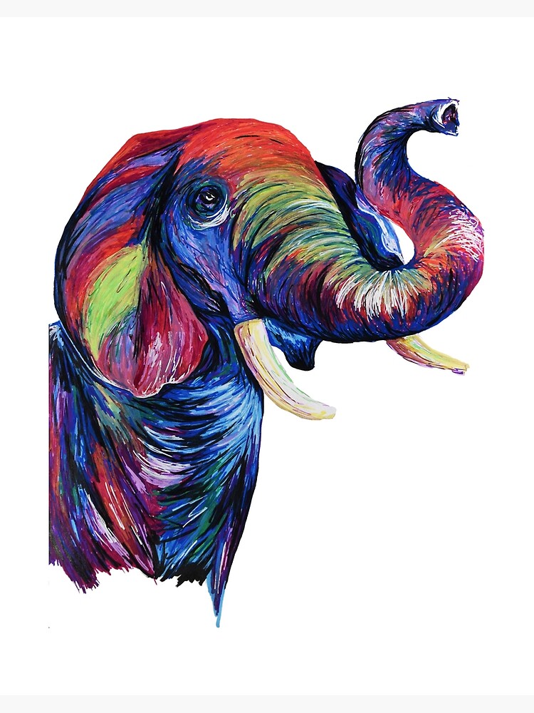 Multicolor Elephant Print