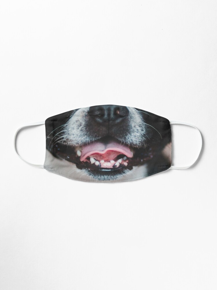 Download Boston Terrier Dog Cute Mouth Face Masks Mask By Alaechamlal Redbubble PSD Mockup Templates