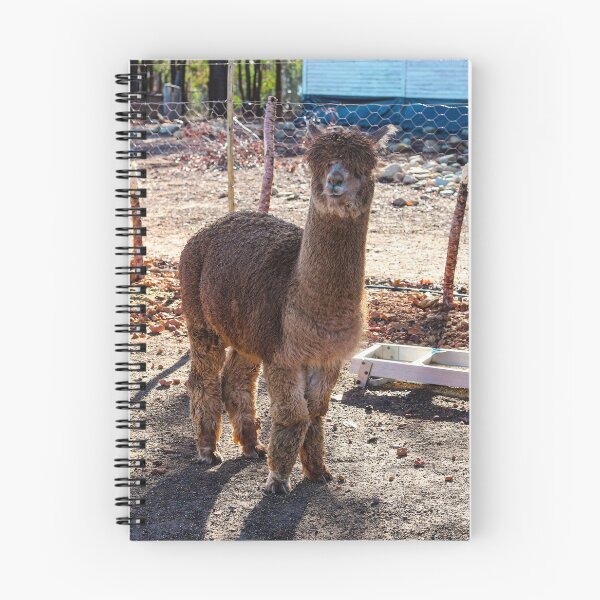 Item preview, Chilled Alpaca designed and sold by Marguerite Faure.