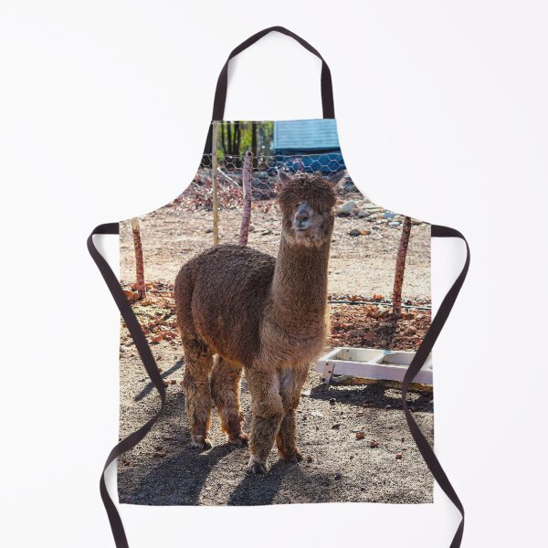 Item preview, Chilled Alpaca designed and sold by Marguerite Faure.