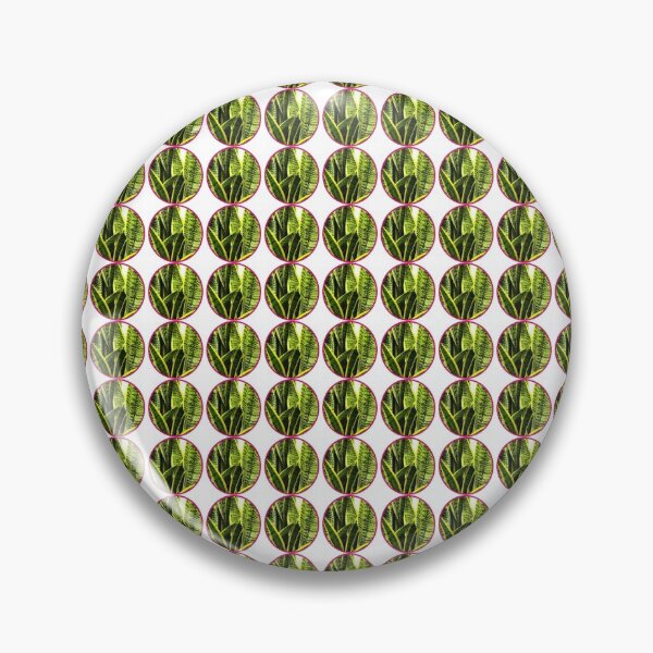 Item preview, Sansevieria snake plant  designed and sold by Asiantiger247.
