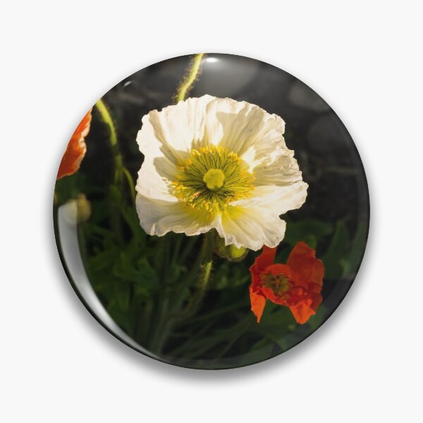 Item preview, Multicoloured Poppies Aglow designed and sold by Georgia Mizuleva.