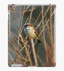 Perching Sparrow iPad Case/Skin