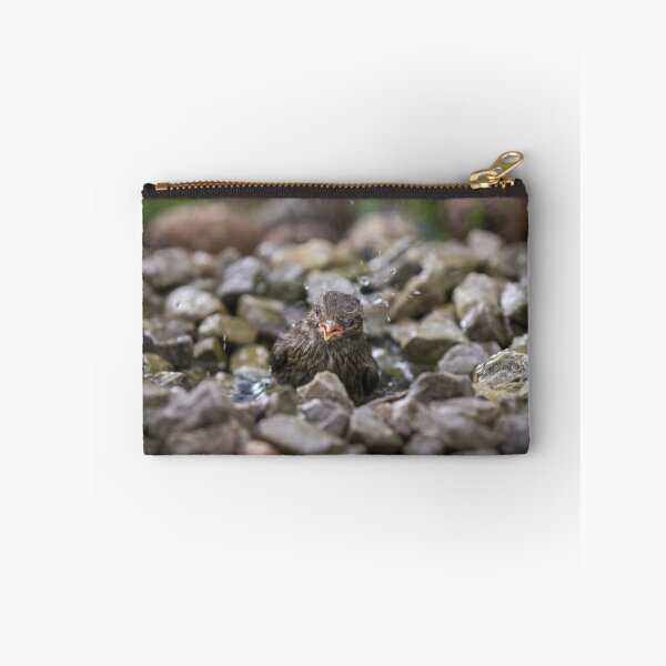 Item preview, Juvenile Dunnock having a bath designed and sold by Kipcio.