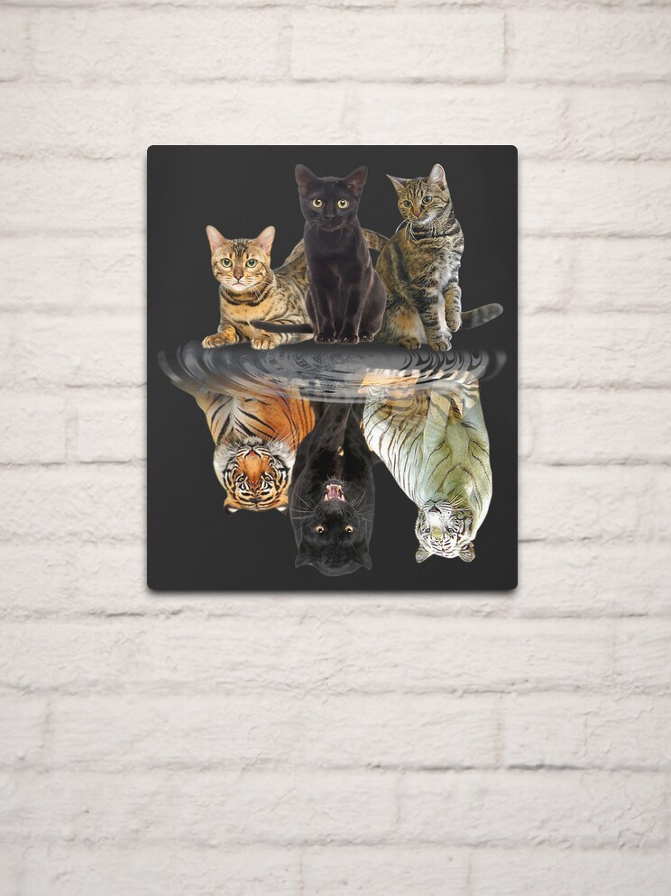Cat Reflection - Diamond Paintings 