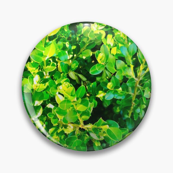 Item preview, Greenery  designed and sold by MeichaCreations.