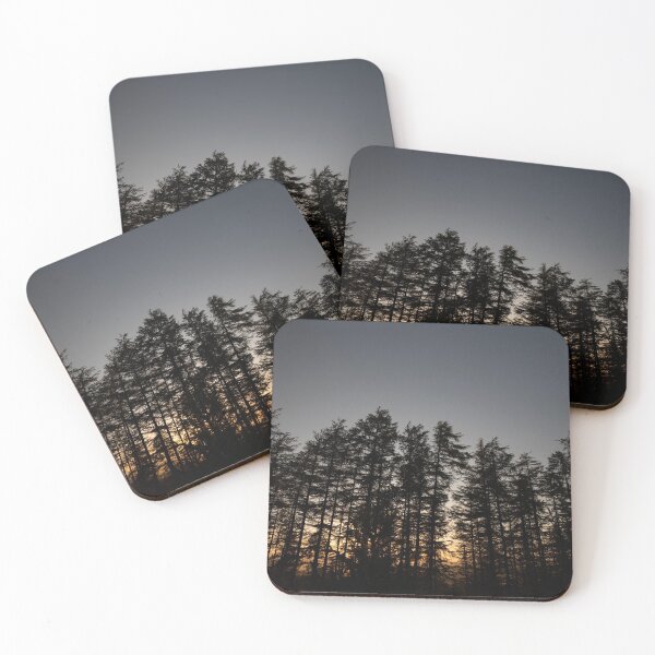 Item preview, fading light, kirkhill forest designed and sold by codaimages.
