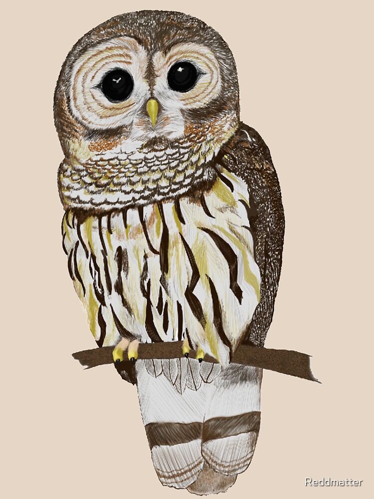 Hand drawn Barn Owl by Reddmatter