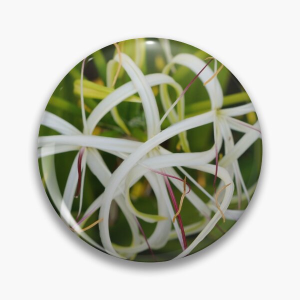 Item preview, Spider Lilly Flower Print - Aariv designed and sold by aariv.