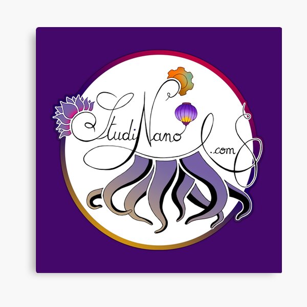 Logo Studinano Canvas Print