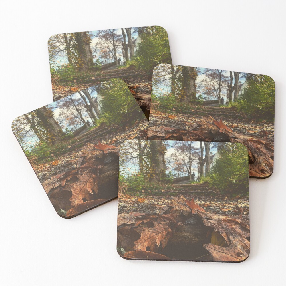 Item preview, Coasters (Set of 4) designed and sold by ViewStore.
