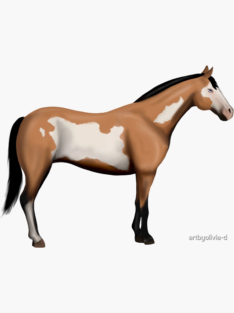 "American paint horse " Sticker by artbyoliviad Redbubble
