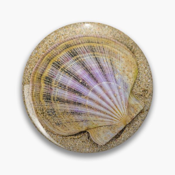 Item preview, Scallop shell designed and sold by Leanne Van Den Berg.