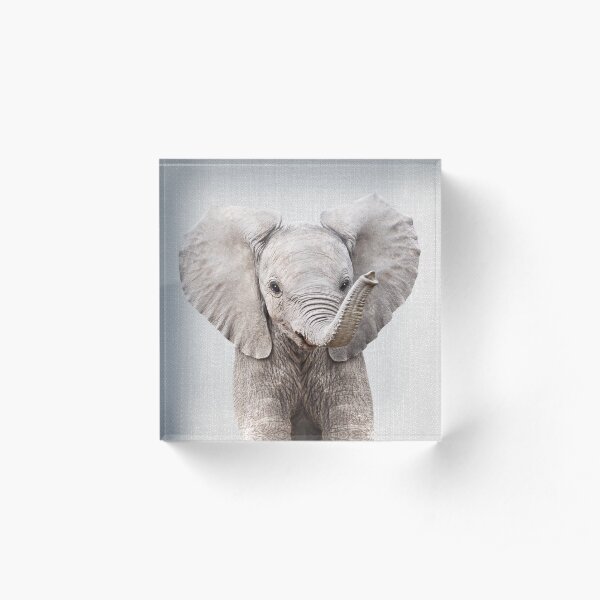 Baby Elephant - Colorful Acrylic Block