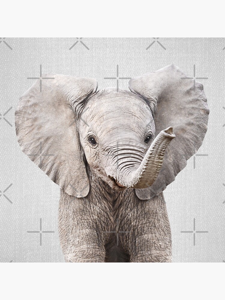 Wall Art Print, Baby elephant